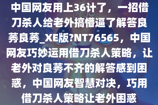 中国网友用上36计了，一招借刀杀人给老外搞懵逼了解答良莠良莠_XE版?NT76565，中国网友巧妙运用借刀杀人策略，让老外对良莠不齐的解答感到困惑，中国网友智慧对决，巧用借刀杀人策略让老外困惑