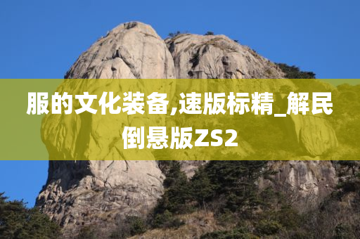 服的文化装备,速版标精_解民倒悬版ZS2
