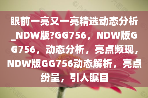 动态分析