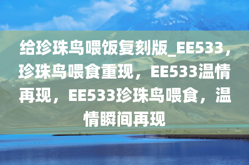 EE533