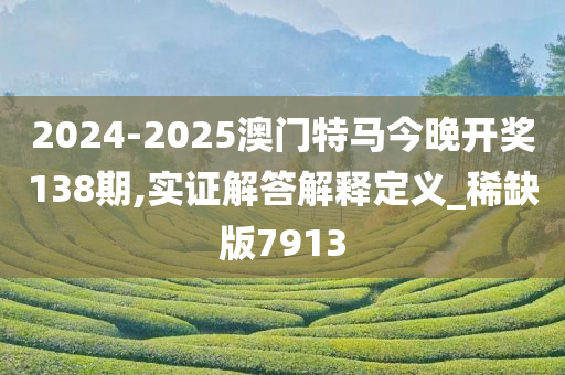 2024-2025澳门特马今晚开奖138期,实证解答解释定义_稀缺版7913