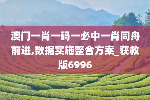 澳门一肖一码一必中一肖同舟前进,数据实施整合方案_获救版6996