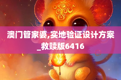 澳门管家婆,实地验证设计方案_救赎版6416