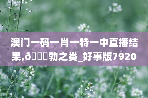 澳门一码一肖一特一中直播结果,??勃之类_好事版7920