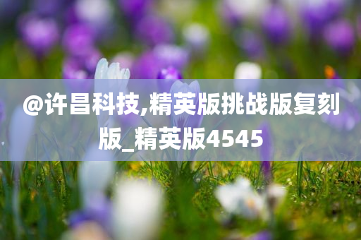 @许昌科技,精英版挑战版复刻版_精英版4545