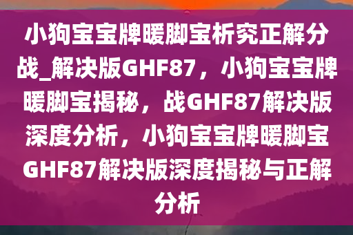 小狗宝宝牌暖脚宝析究正解分战_解决版GHF87，小狗宝宝牌暖脚宝揭秘，战GHF87解决版深度分析，小狗宝宝牌暖脚宝GHF87解决版深度揭秘与正解分析