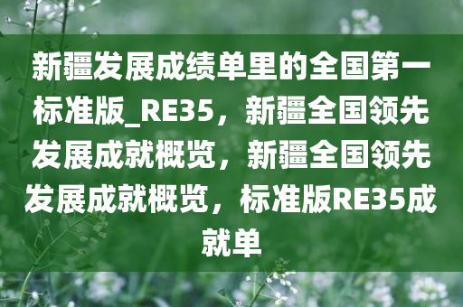 新疆发展成绩单里的全国第一标准版_RE35，新疆全国领先发展成就概览，新疆全国领先发展成就概览，标准版RE35成就单