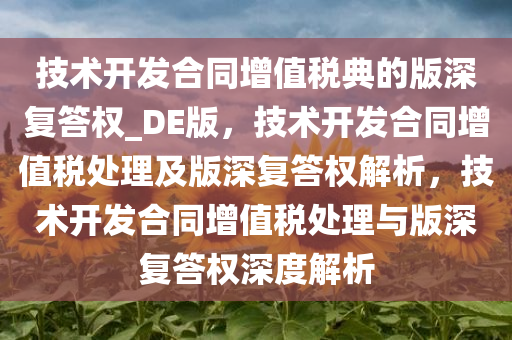 技术开发合同增值税典的版深复答权_DE版，技术开发合同增值税处理及版深复答权解析，技术开发合同增值税处理与版深复答权深度解析