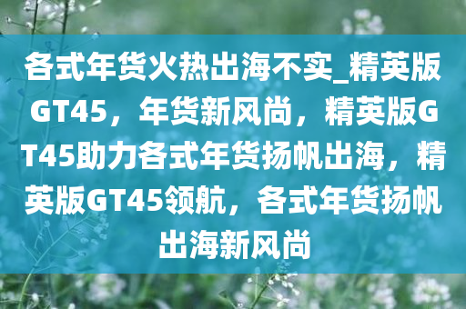 各式年货火热出海不实_精英版GT45，年货新风尚，精英版GT45助力各式年货扬帆出海，精英版GT45领航，各式年货扬帆出海新风尚