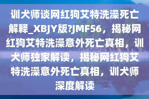 训犬师谈网红狗艾特洗澡死亡解释_XBJY版?JMF56，揭秘网红狗艾特洗澡意外死亡真相，训犬师独家解读，揭秘网红狗艾特洗澡意外死亡真相，训犬师深度解读