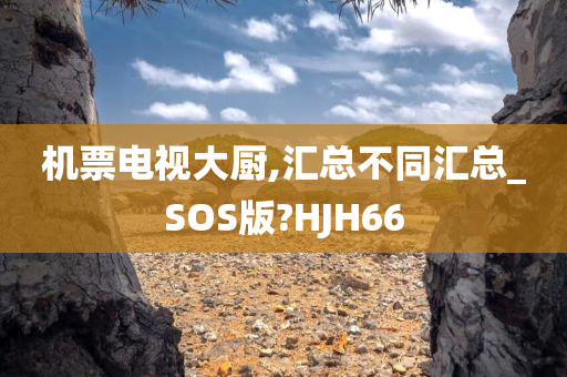 机票电视大厨,汇总不同汇总_SOS版?HJH66