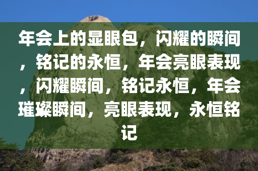 年会上的显眼包，闪耀的瞬间，铭记的永恒，年会亮眼表现，闪耀瞬间，铭记永恒，年会璀璨瞬间，亮眼表现，永恒铭记