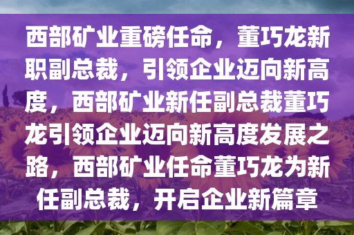 西部矿业重磅任命，董巧龙新职副总裁，引领企业迈向新高度，西部矿业新任副总裁董巧龙引领企业迈向新高度发展之路，西部矿业任命董巧龙为新任副总裁，开启企业新篇章