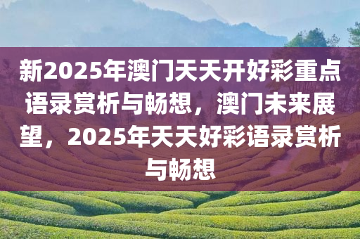 新2025年澳门天天开好彩重点语录赏析与畅想，澳门未来展望，2025年天天好彩语录赏析与畅想