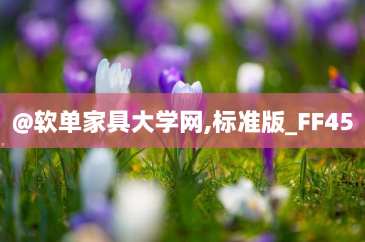 @软单家具大学网,标准版_FF45