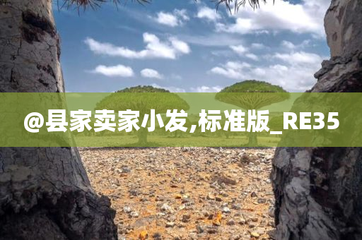 @县家卖家小发,标准版_RE35