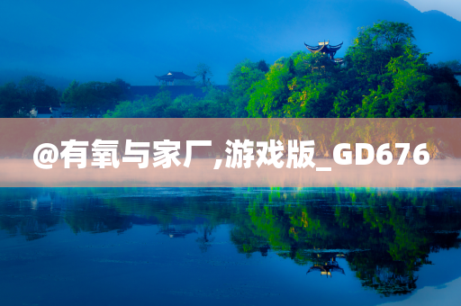 @有氧与家厂,游戏版_GD676