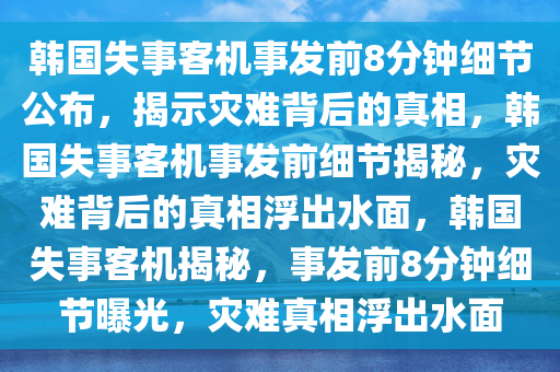 韩国失事客机事发前8分钟细节公布，揭示灾难背后的真相，韩国失事客机事发前细节揭秘，灾难背后的真相浮出水面，韩国失事客机揭秘，事发前8分钟细节曝光，灾难真相浮出水面
