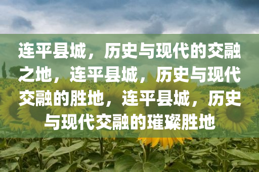 连平县城，历史与现代的交融之地，连平县城，历史与现代交融的胜地，连平县城，历史与现代交融的璀璨胜地