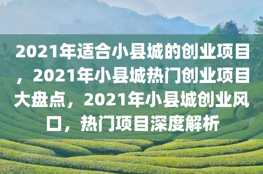 2021年适合小县城的创业项目，2021年小县城热门创业项目大盘点，2021年小县城创业风口，热门项目深度解析