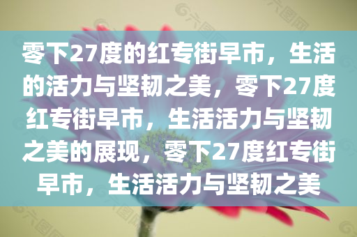零下27度的红专街早市，生活的活力与坚韧之美，零下27度红专街早市，生活活力与坚韧之美的展现，零下27度红专街早市，生活活力与坚韧之美