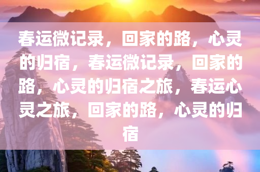春运微记录，回家的路，心灵的归宿，春运微记录，回家的路，心灵的归宿之旅，春运心灵之旅，回家的路，心灵的归宿