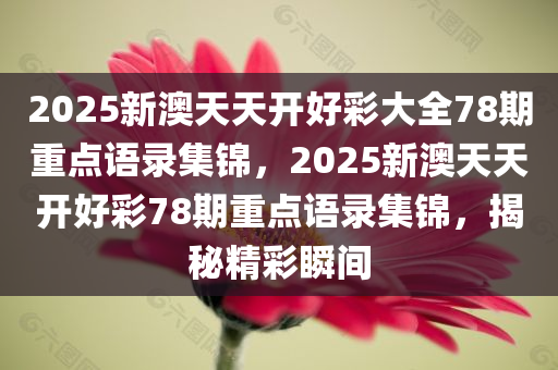 2025新澳天天开好彩大全78期重点语录集锦，2025新澳天天开好彩78期重点语录集锦，揭秘精彩瞬间