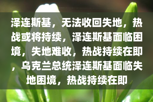 泽连斯基，无法收回失地，热战或将持续，泽连斯基面临困境，失地难收，热战持续在即，乌克兰总统泽连斯基面临失地困境，热战持续在即
