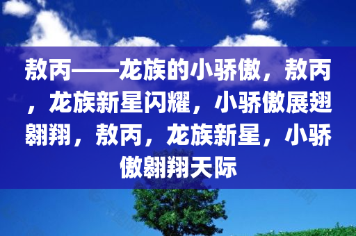 敖丙——龙族的小骄傲，敖丙，龙族新星闪耀，小骄傲展翅翱翔，敖丙，龙族新星，小骄傲翱翔天际