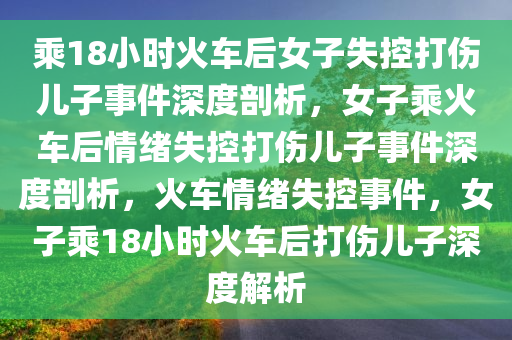乘18小时火车后女子失控打伤儿子事件深度剖析，女子乘火车后情绪失控打伤儿子事件深度剖析，火车情绪失控事件，女子乘18小时火车后打伤儿子深度解析