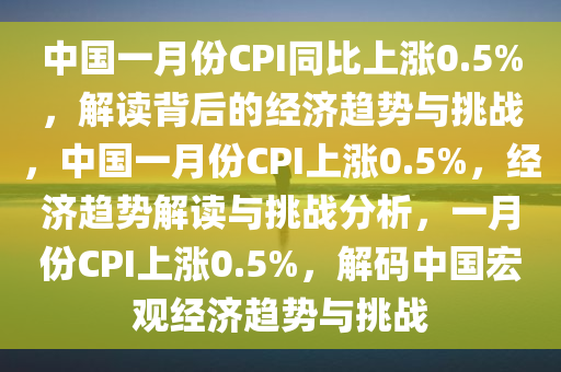 中国一月份CPI同比上涨0.5%，解读背后的经济趋势与挑战，中国一月份CPI上涨0.5%，经济趋势解读与挑战分析，一月份CPI上涨0.5%，解码中国宏观经济趋势与挑战