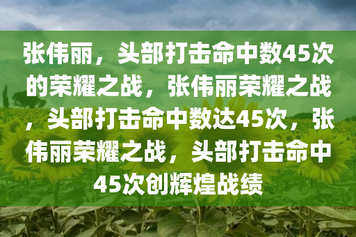 张伟丽，头部打击命中数45次的荣耀之战，张伟丽荣耀之战，头部打击命中数达45次，张伟丽荣耀之战，头部打击命中45次创辉煌战绩