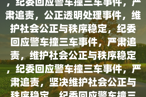 pengzhiyu 第13页