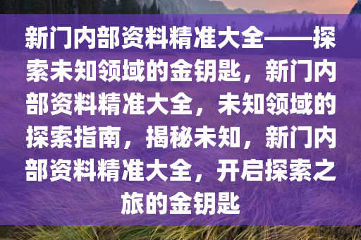 新门内部资料精准大全——探索未知领域的金钥匙，新门内部资料精准大全，未知领域的探索指南，揭秘未知，新门内部资料精准大全，开启探索之旅的金钥匙