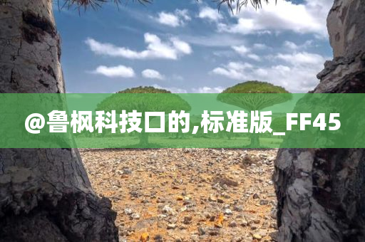 @鲁枫科技口的,标准版_FF45