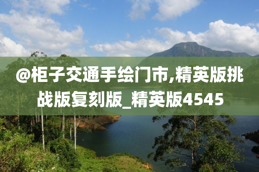 精英版 第30页