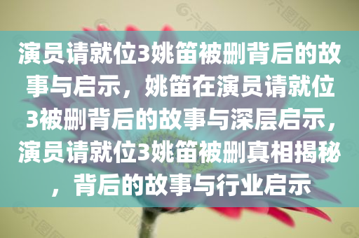 演员请就位3姚笛被删背后的故事与启示，姚笛在演员请就位3被删背后的故事与深层启示，演员请就位3姚笛被删真相揭秘，背后的故事与行业启示