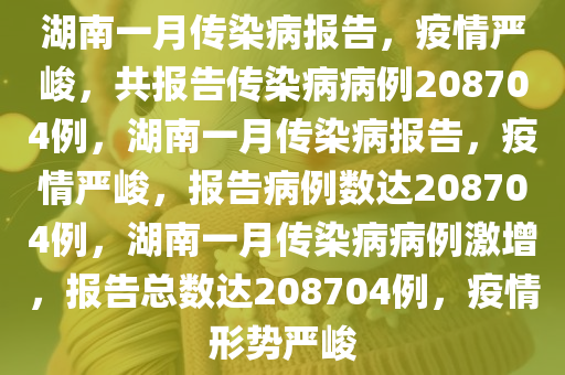 湖南一月传染病报告，疫情严峻，共报告传染病病例208704例，湖南一月传染病报告，疫情严峻，报告病例数达208704例，湖南一月传染病病例激增，报告总数达208704例，疫情形势严峻
