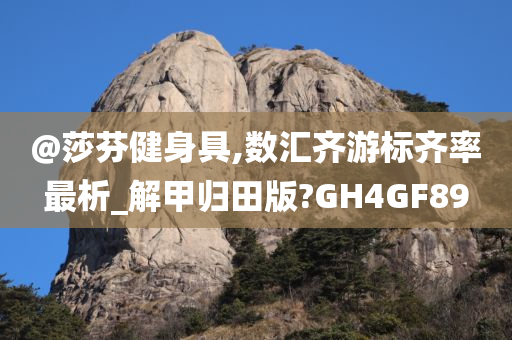 @莎芬健身具,数汇齐游标齐率最析_解甲归田版?GH4GF89今晚必出三肖2025_2025新澳门精准免费提供·精确判断