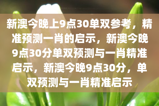 新澳今晚上9点30单双参考，精准预测一肖的启示，新澳今晚9点30分单双预测与一肖精准启示，新澳今晚9点30分，单双预测与一肖精准启示