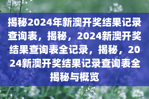 揭秘2024年新澳开奖结果记录查询表，揭秘，2024新澳开奖结果查询表全记录，揭秘，2024新澳开奖结果记录查询表全揭秘与概览