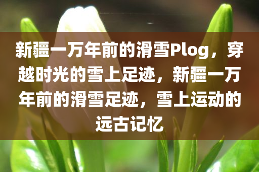 新疆一万年前的滑雪Plog，穿越时光的雪上足迹，新疆一万年前的滑雪足迹，雪上运动的远古记忆