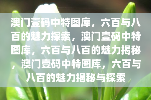 澳门壹码中特图库，六百与八百的魅力探索，澳门壹码中特图库，六百与八百的魅力揭秘，澳门壹码中特图库，六百与八百的魅力揭秘与探索