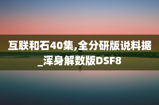 互联和石40集,全分研版说料据_浑身解数版DSF8