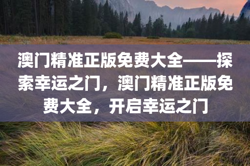 澳门精准正版免费大全——探索幸运之门，澳门精准正版免费大全，开启幸运之门