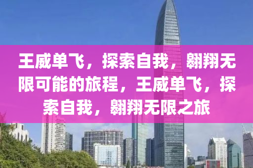 王威单飞，探索自我，翱翔无限可能的旅程，王威单飞，探索自我，翱翔无限之旅