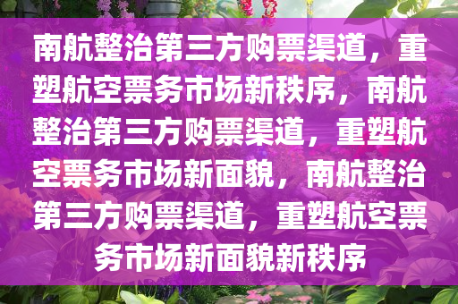 南航整治第三方购票渠道，重塑航空票务市场新秩序，南航整治第三方购票渠道，重塑航空票务市场新面貌，南航整治第三方购票渠道，重塑航空票务市场新面貌新秩序