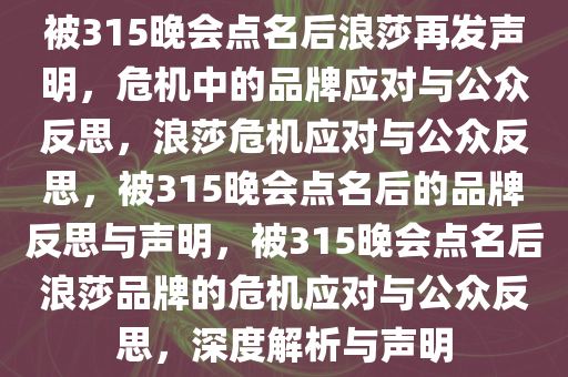 被315晚会点名后浪莎再发声明，危机中的品牌应对与公众反思，浪莎危机应对与公众反思，被315晚会点名后的品牌反思与声明，被315晚会点名后浪莎品牌的危机应对与公众反思，深度解析与声明