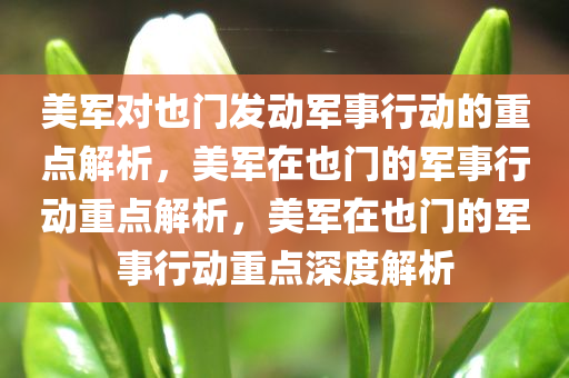 美军对也门发动军事行动的重点解析，美军在也门的军事行动重点解析，美军在也门的军事行动重点深度解析