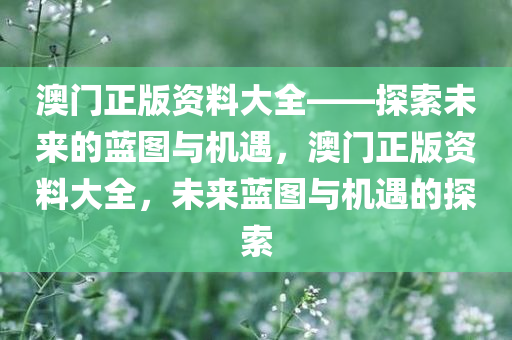 澳门正版资料大全——探索未来的蓝图与机遇，澳门正版资料大全，未来蓝图与机遇的探索，澳门正版资料大全，探索未来蓝图与机遇的旅程